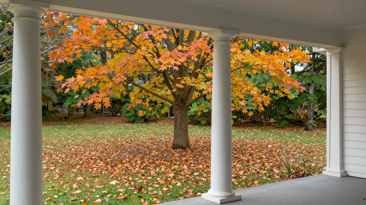 A covered porch with white columns looks out at a leaf-strewn lawn and bright orange maple tree in autumn
