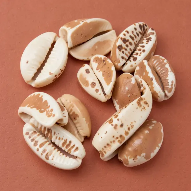 Speckled ivory and tan cowrie shells arranged in a loose cluster on a matte terracotta surface