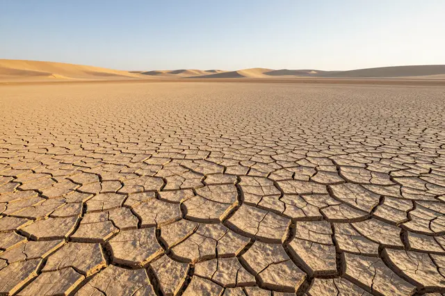 Wide view of cracked dry desert basin ground with distant sand dunes under a pale golden hour sky
