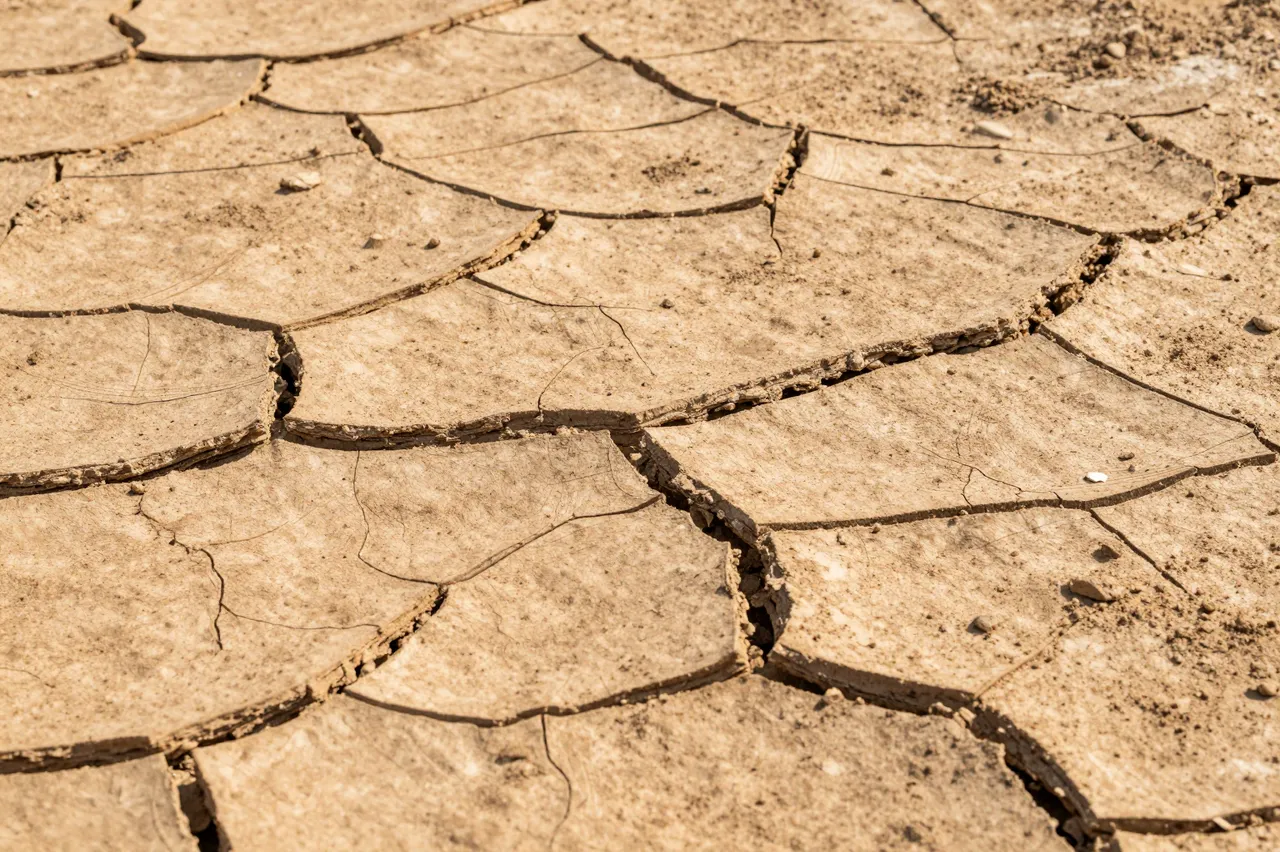 Close-up view of cracked, warm brown parched dry earth with distinct fissures and small surface debris
