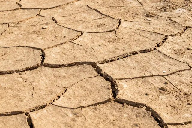 Close-up view of cracked, warm brown parched dry earth with distinct fissures and small surface debris