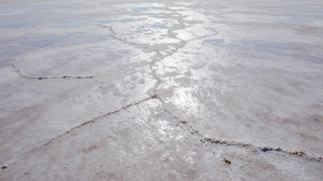 Sunlit cracked salt pan surface with glistening mineral deposits and faint residual water patches