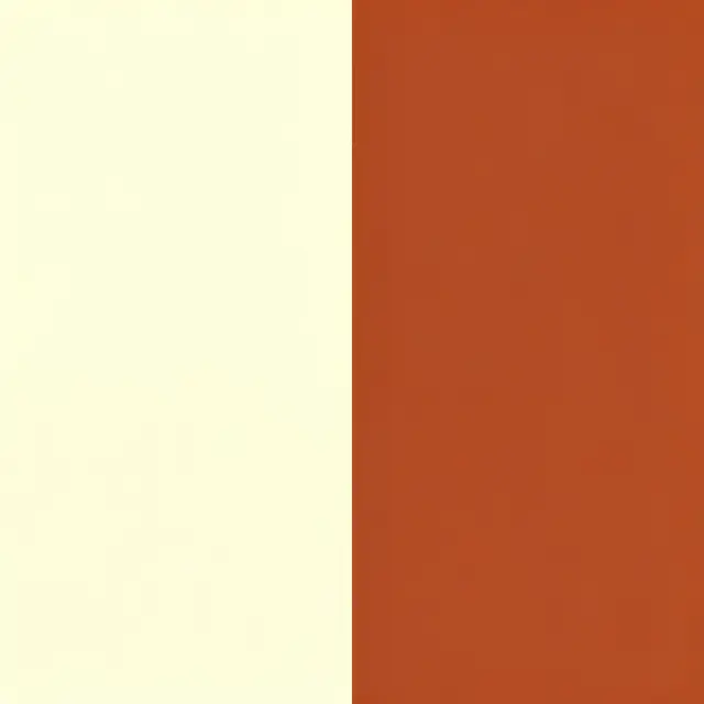 A minimalist abstract color field divided into equal vertical cream and rust sections