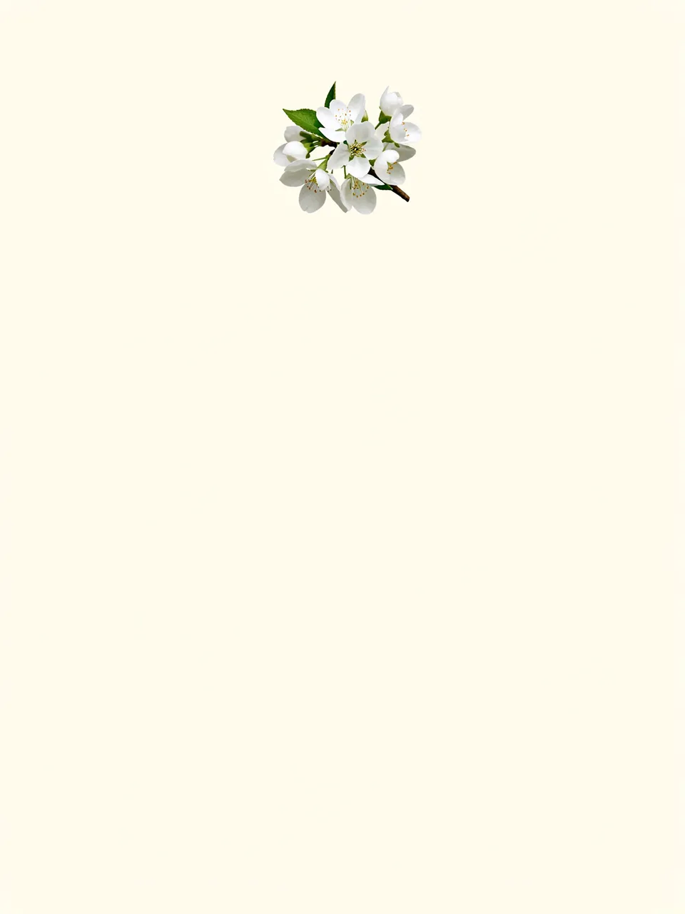 A single sprig of white blossom rests at the top center of an empty pale cream background
