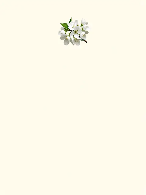 A single sprig of white blossom rests at the top center of an empty pale cream background