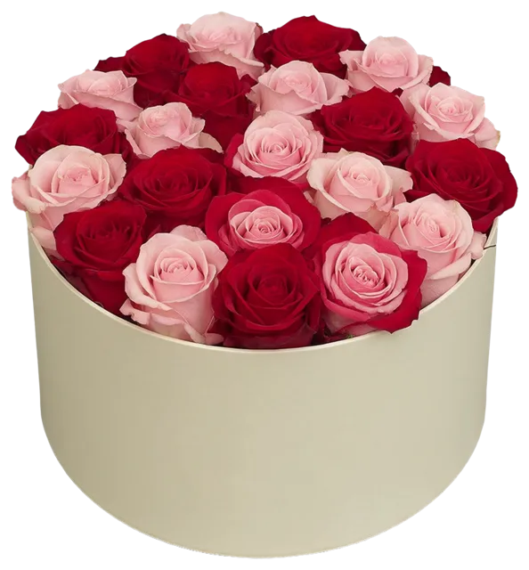 Round cream hat box filled with tightly arranged deep red and blush pink roses viewed from a high angle