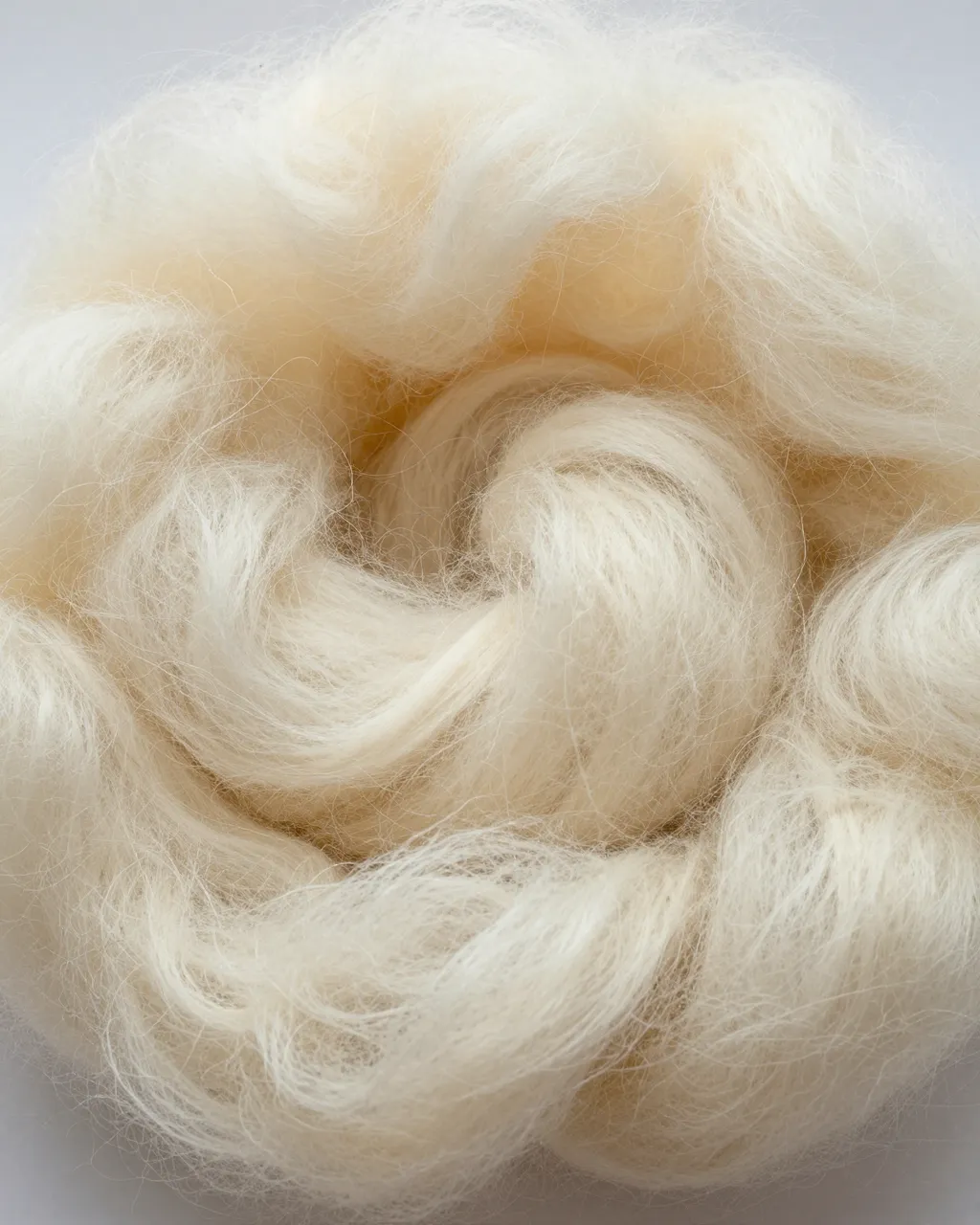 Soft cloudlike wisps of cream carded wool roving fill the frame under flat even light