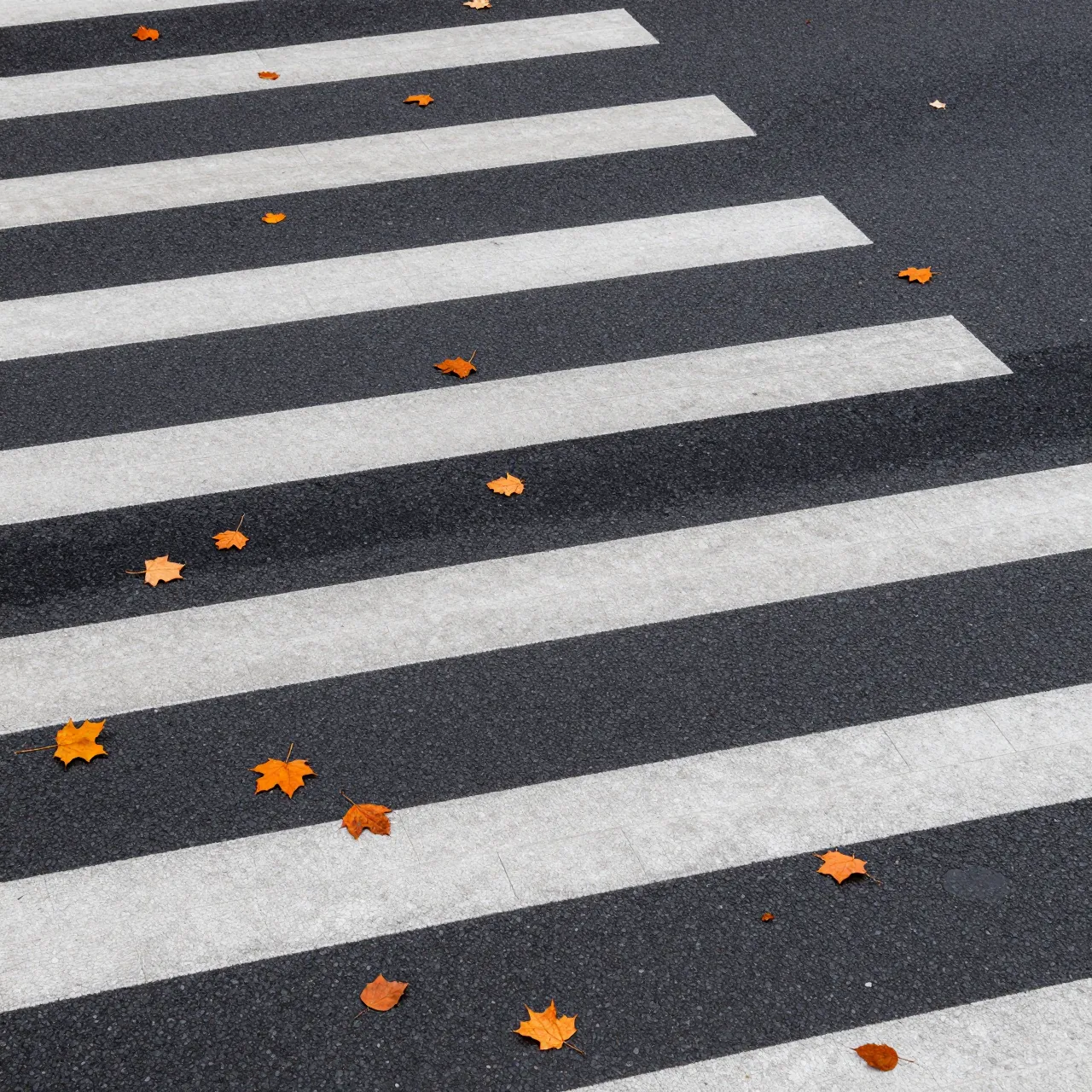 Overhead view of a striped crosswalk scattered with orange fall leaves on dark asphalt