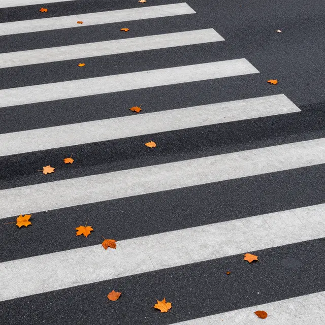 Overhead view of a striped crosswalk scattered with orange fall leaves on dark asphalt