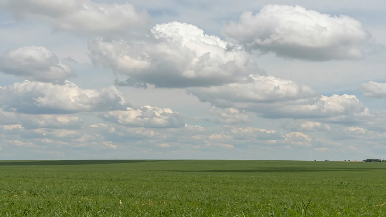 Rows of fluffy cumulus clouds stretch across a pale sky above a wide flat green crop field.