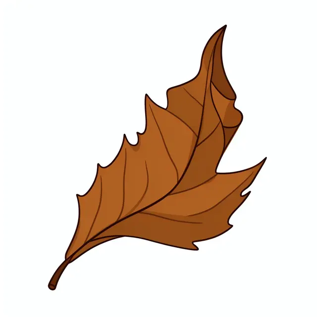 Flat cartoon clipart of a curled dry brown autumn leaf isolated on a plain white background