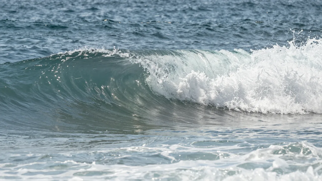A curling ocean wave breaks, with sunlight glinting through translucent turquoise seawater and white foamy surf.