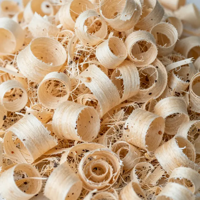 Close-up of tightly curled pale wood shavings piled densely, lit with soft side light