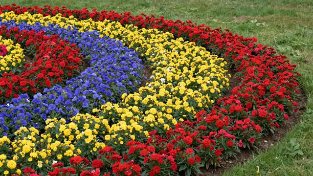 Overhead view of a curving multi-colored flower garden bordered by green grass