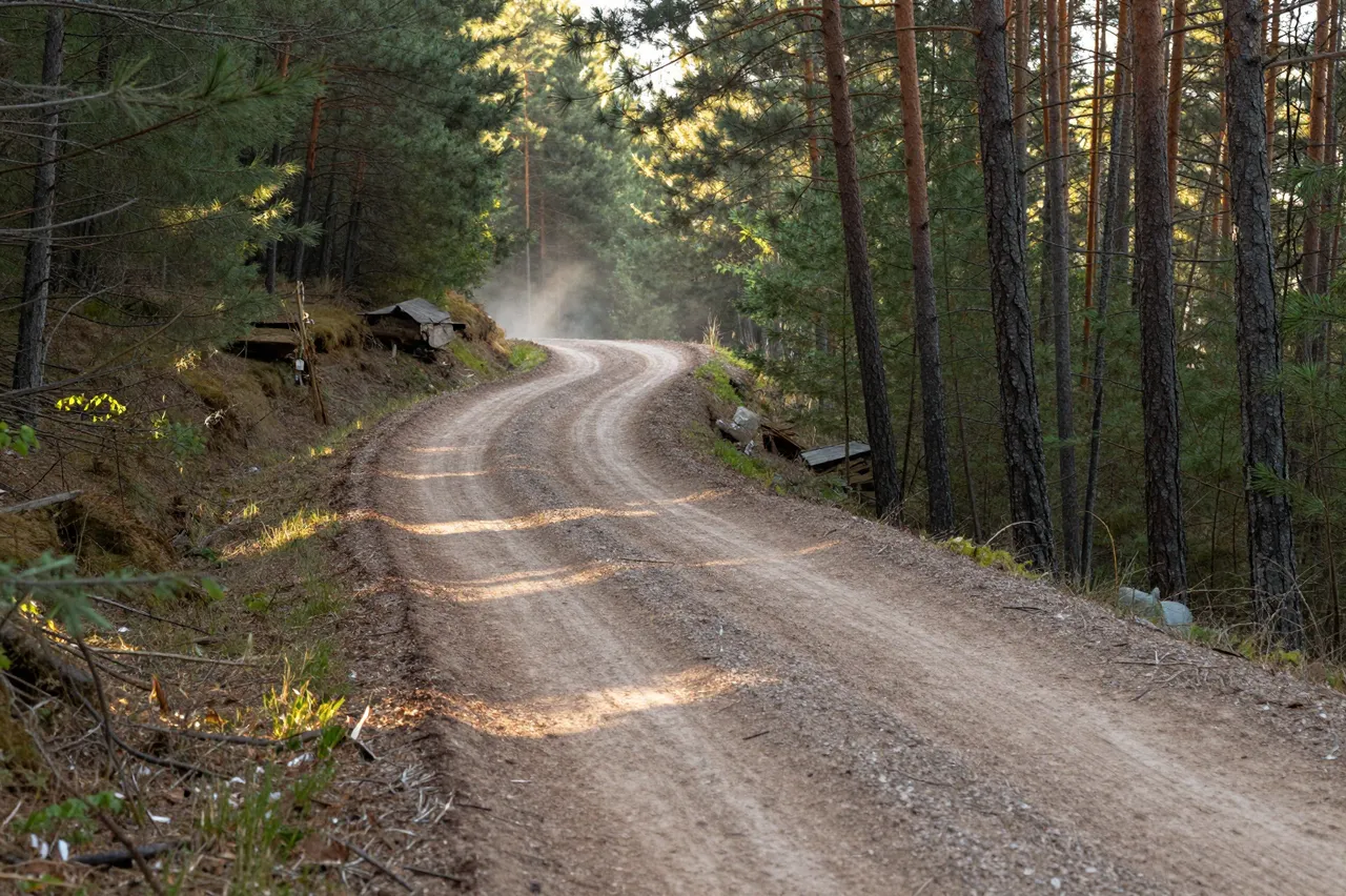 A winding banked dirt trail curves through a pine forest with hazy evening dust in the sunlight