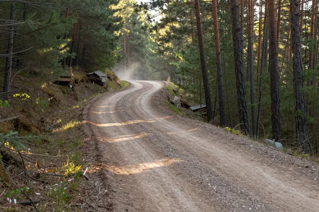 A winding banked dirt trail curves through a pine forest with hazy evening dust in the sunlight
