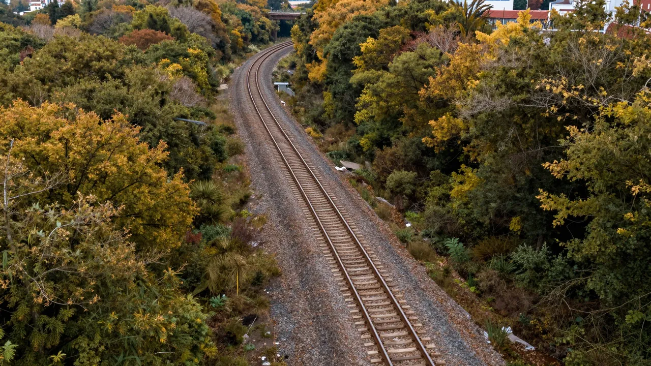Aerial view of a curved railway line winding through dense trees with golden autumn foliage