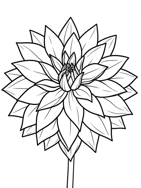 Bold black and white line art of a dahlia flower with pointed petals on a plain white background