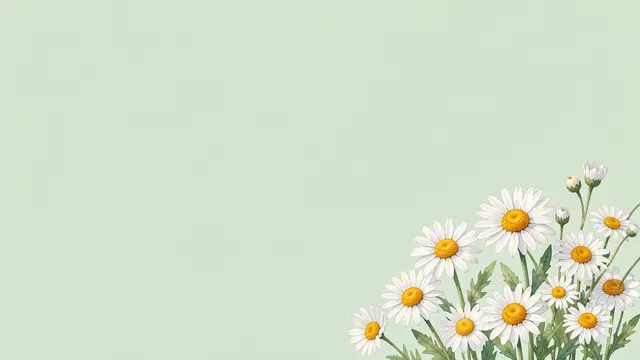 Watercolor daisies and chamomile arranged along the lower right against a pale green empty background