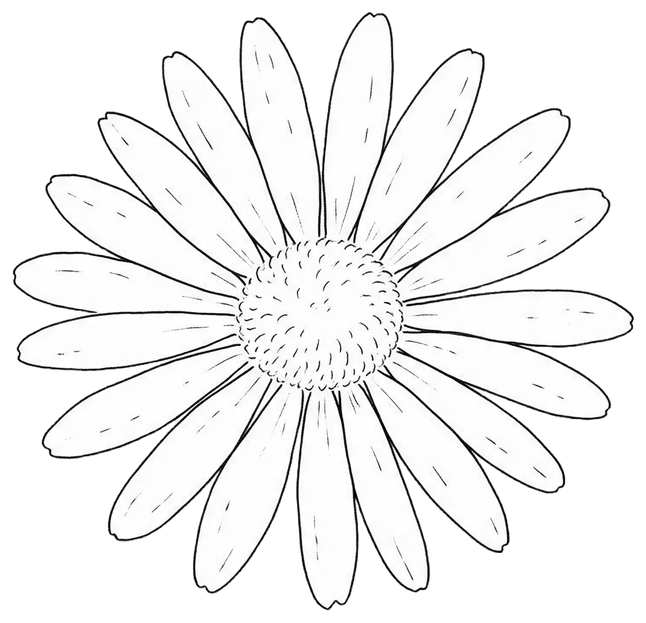 Minimal black line drawing of a front-facing daisy flower with long thin petals