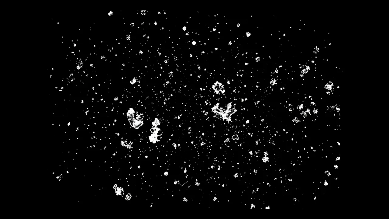 Scattered coarse white specks and blotches cover a solid pure black background