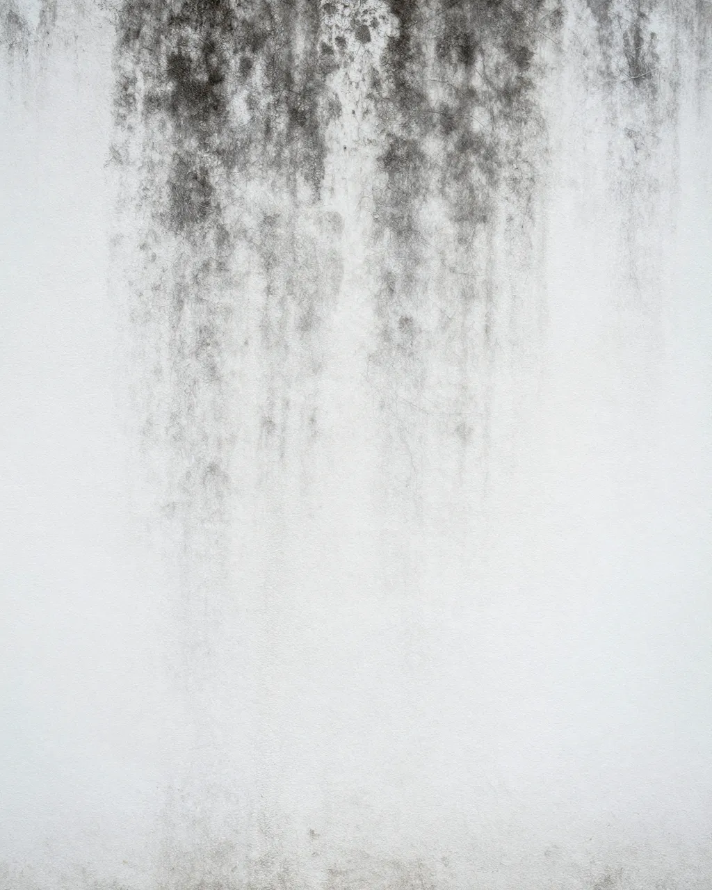Vertical streaks of dark mildew spread down a plain white painted wall surface
