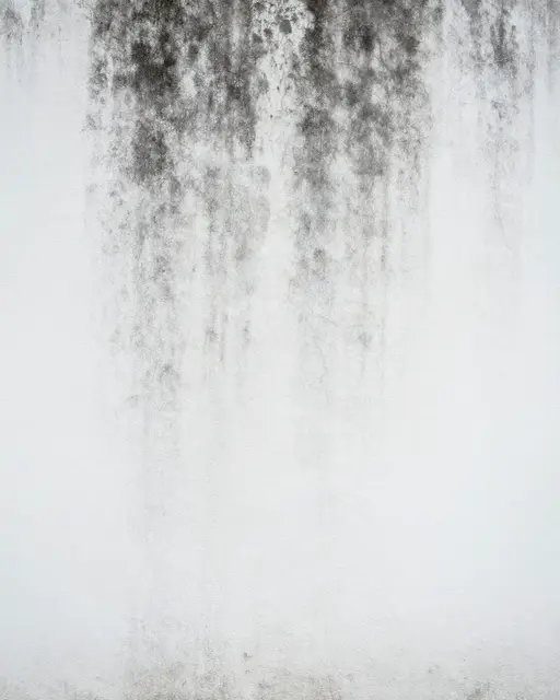 Vertical streaks of dark mildew spread down a plain white painted wall surface