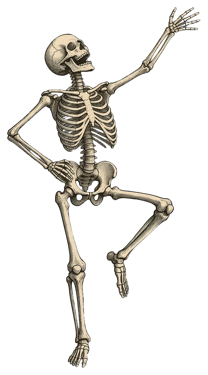 Vintage engraved human skeleton posed dancing with one arm raised, hip tilted back in a laughing expression.