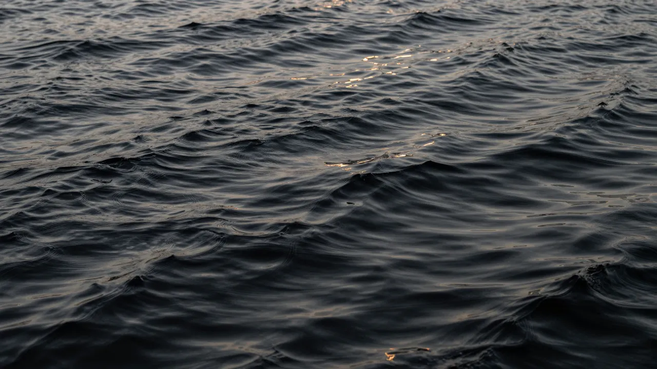 Deep dark water with gentle ripples catches and reflects thin streaks of warm golden light
