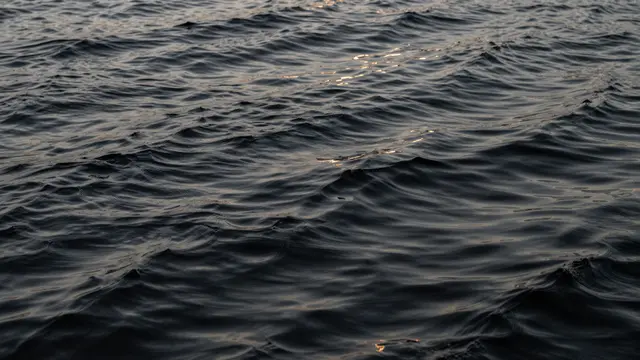 Deep dark water with gentle ripples catches and reflects thin streaks of warm golden light