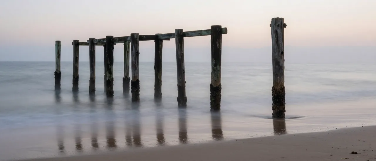 Weathered old wooden pilings stand in misty smooth shoreline water at soft dawn