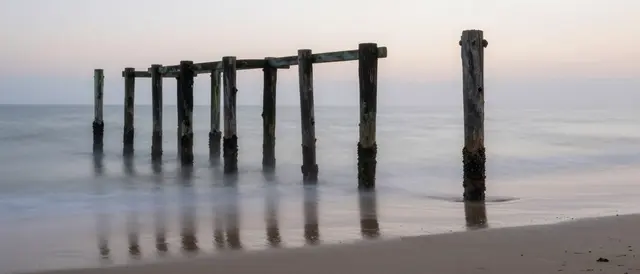 Weathered old wooden pilings stand in misty smooth shoreline water at soft dawn