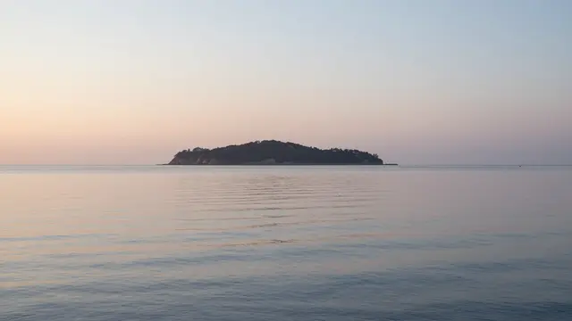 Pastel dawn light falls over a calm glassy sea with a forested low island on the horizon