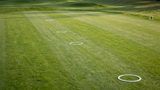 White croquet hoops line a neatly mown grass lawn under soft early morning light