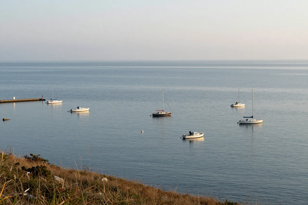Small boats float on calm harbor water viewed from a grassy hilltop at soft dawn