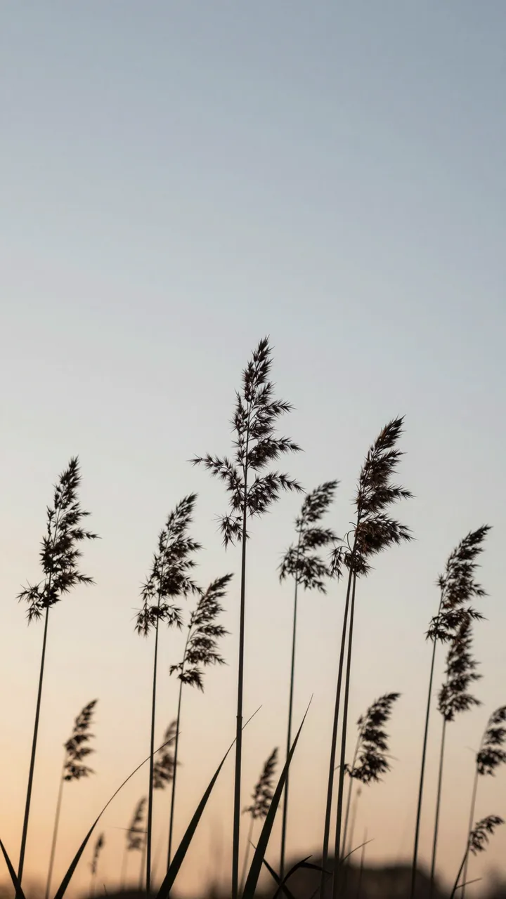 Silhouetted tall reeds stand against a soft gradient pale dawn sky with open empty space above