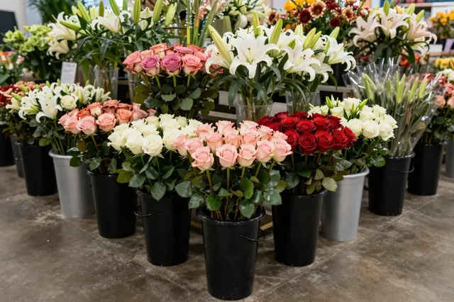 Buckets of assorted roses and lilies arranged on a concrete indoor market floor