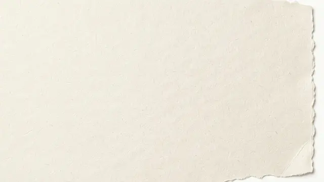 Textured warm off-white handmade paper with a ragged deckled right edge against a plain background