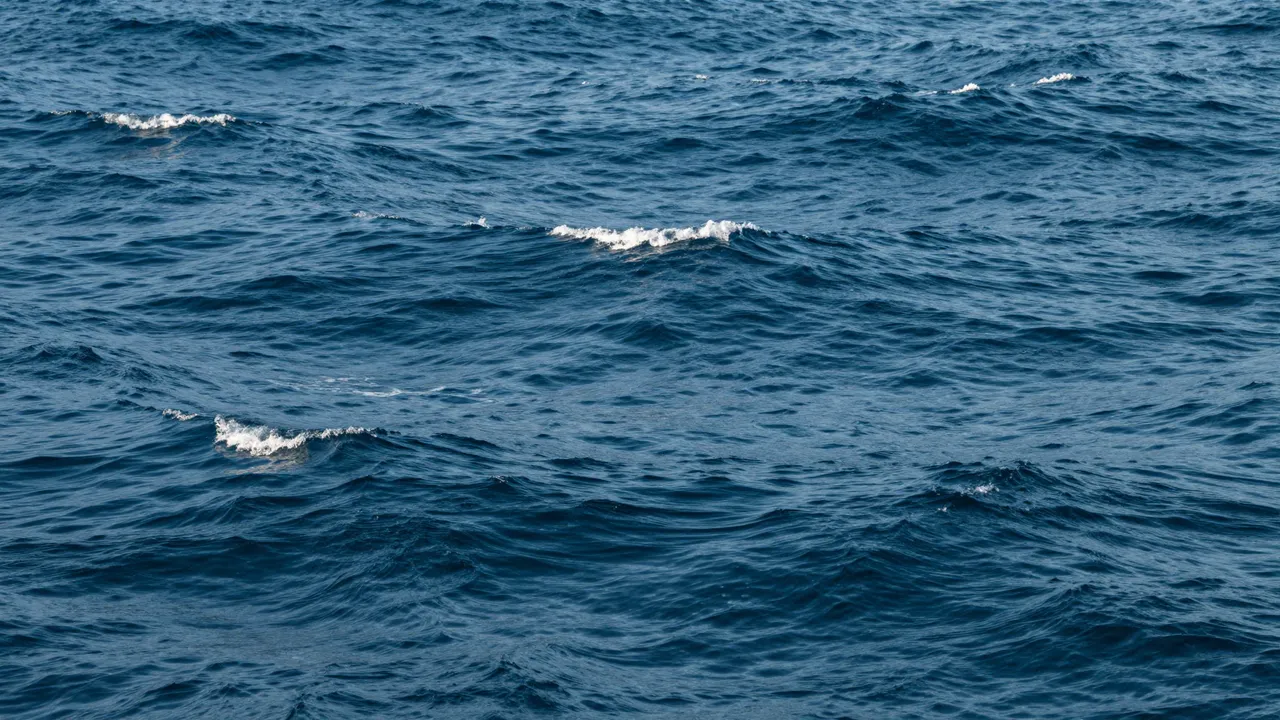 Dark blue open ocean water ripples with small white foam whitecaps across its surface.