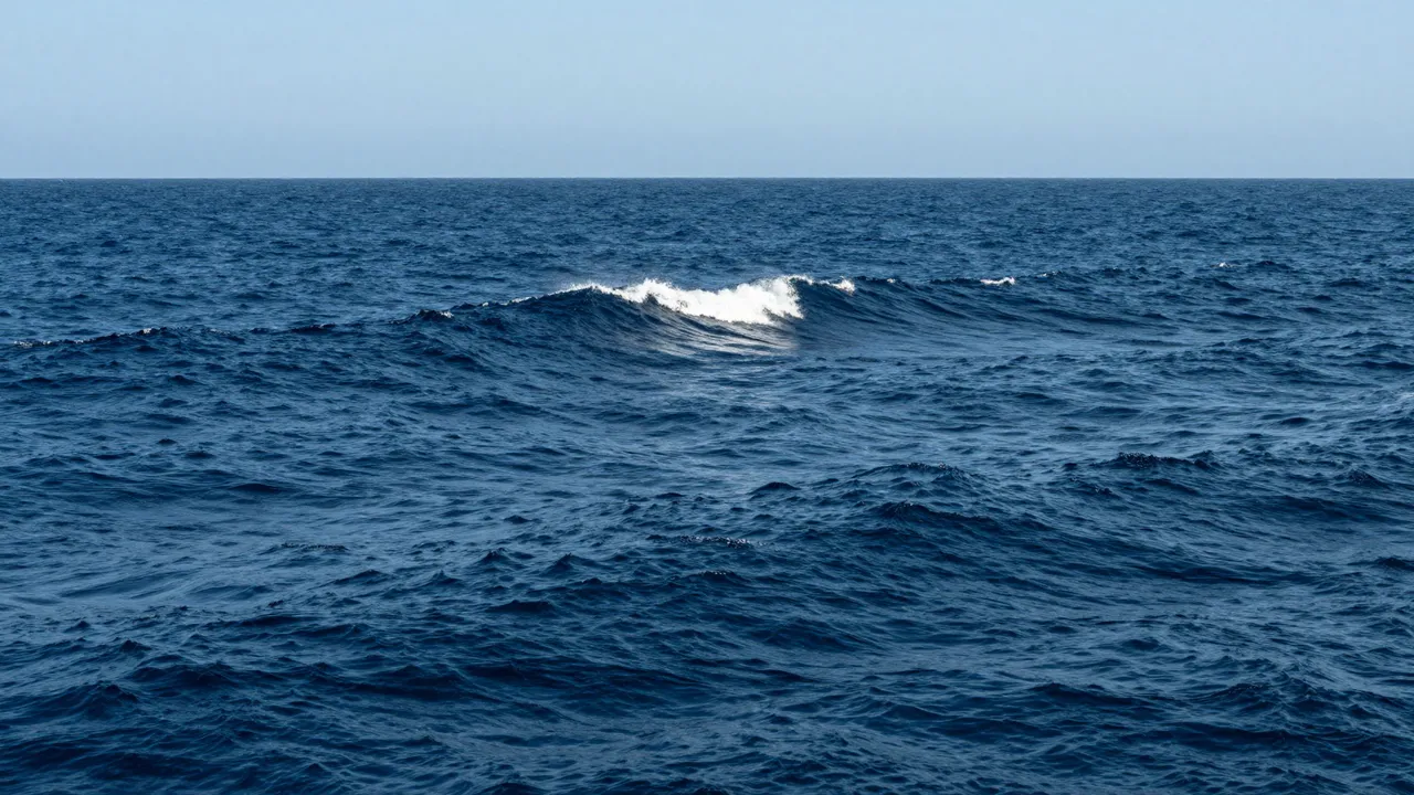 Rolling deep blue ocean swells stretch to the horizon under a pale clear sky