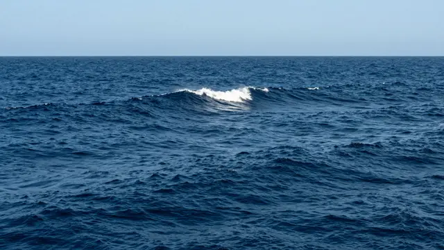 Rolling deep blue ocean swells stretch to the horizon under a pale clear sky