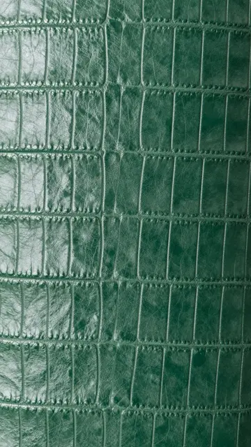 Full frame close-up of embossed deep forest green croc-effect leather with a soft subtle sheen