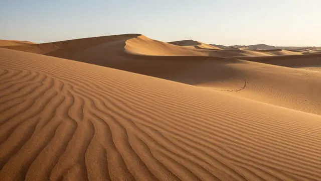 Rippled sand dunes stretch across a desert landscape under warm golden sunset light.