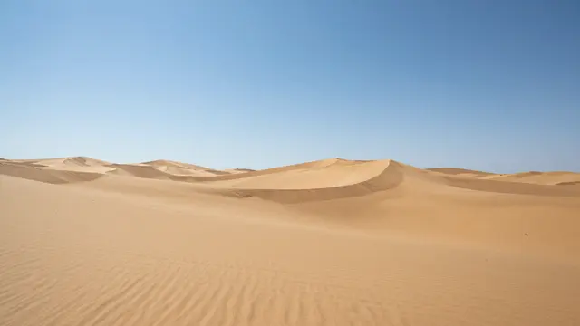 Wide view of rippled golden sand dunes stretching out beneath a clear bright blue sky