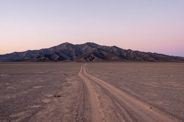 A dirt track stretches across a stony desert plain toward dark mountains under a pale pink dawn sky