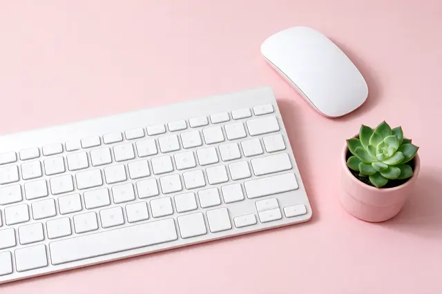 Overhead view of a white keyboard, mouse, and potted succulent arranged on a pale pink desk surface.
