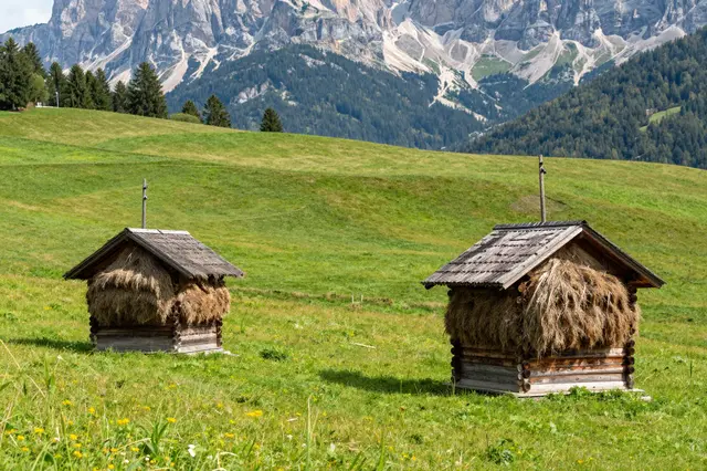 Two small wooden hay huts sit on a rolling green alpine meadow beneath jagged Dolomite peaks