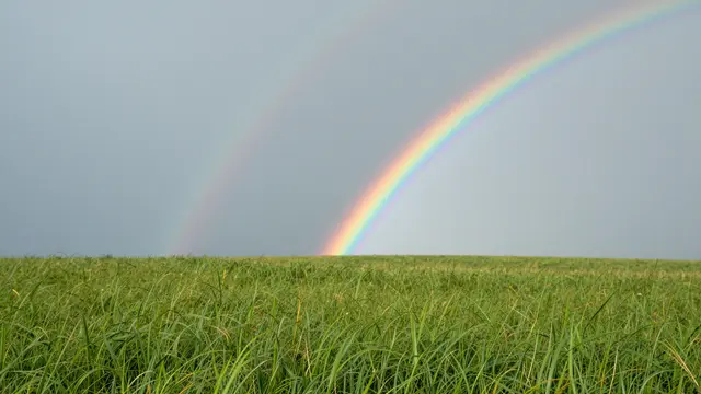 A bright primary rainbow and faint secondary rainbow arc above a lush tall grass meadow under a gray post-storm sky
