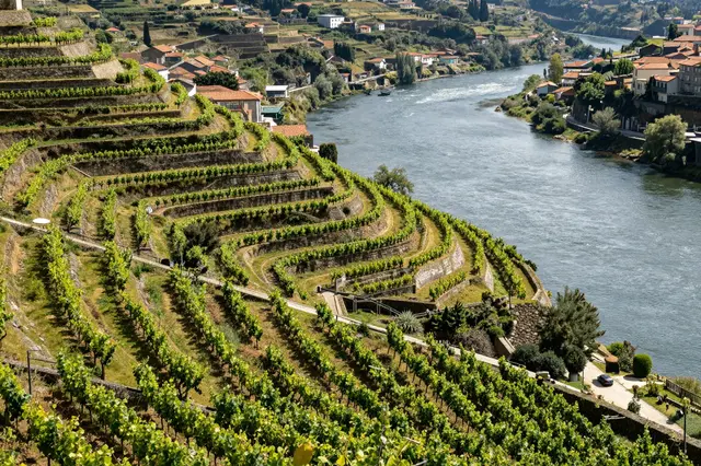 Tiered vineyard terraces overlook a winding wide river with hillside villages in northern Portugal