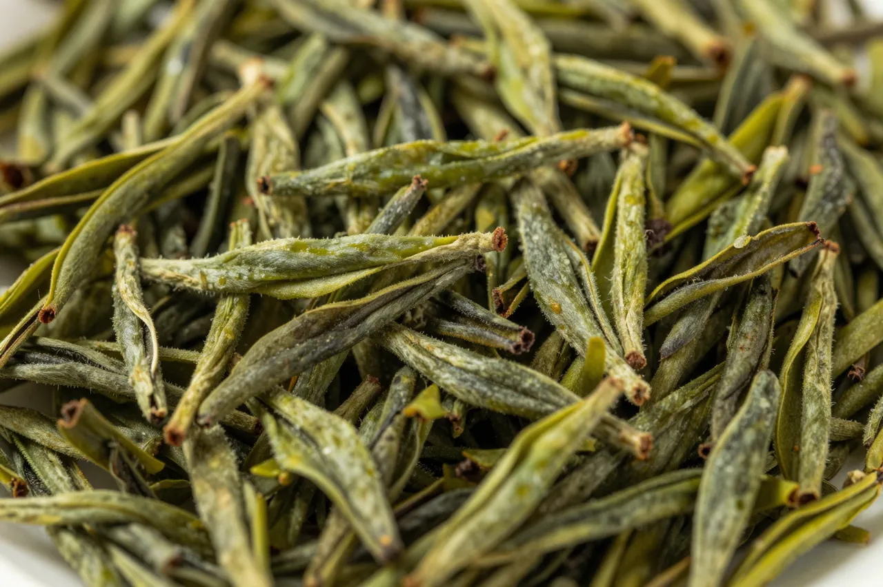 Close-up full-frame view of loose dried green tea leaves with fine fuzzy texture and varying green hues.